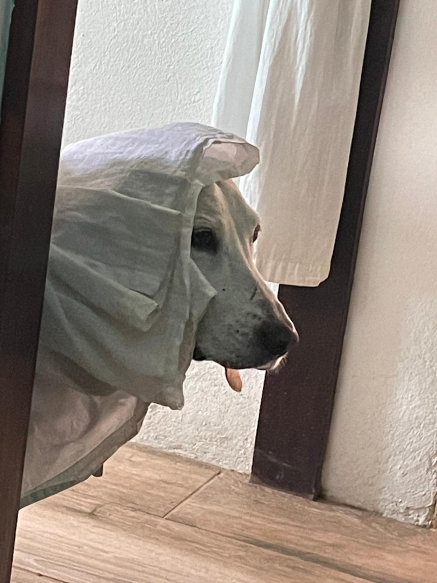 Cabinas D'Val ウビタ エクステリア 写真